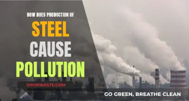 The Dark Side of Steel: Unveiling Pollution's Hidden Costs