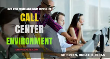 Professionalism in Call Centers: Enhancing Productivity, Customer Satisfaction, and Team Morale
