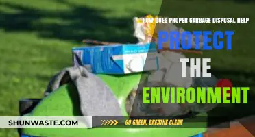 Eco-Friendly Waste Management: How Proper Garbage Disposal Protects Our Planet