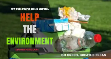 Eco-Friendly Waste Disposal: Protecting Our Planet Through Responsible Practices