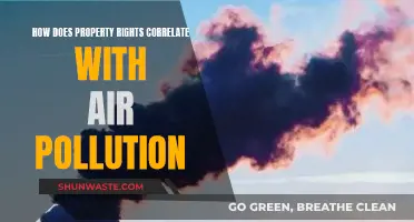 Property Rights: Air Pollution's Unlikely Ally?