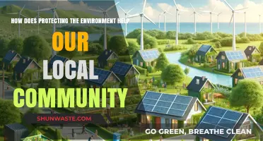 Protecting Our Environment: Strengthening Local Communities for a Sustainable Future