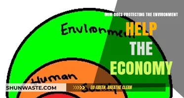 Sustainable Practices Boost Economic Growth: The Environment-Economy Connection
