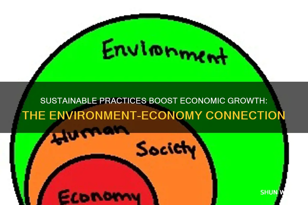 how does protecting the environment help the economy