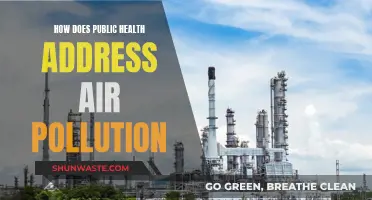 Public Health Strategies for Tackling Air Pollution