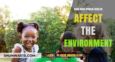 Public Health's Impact: Environmental Consequences and Sustainable Solutions Explored