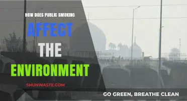 Public Smoking's Environmental Impact: Pollution, Waste, and Health Consequences