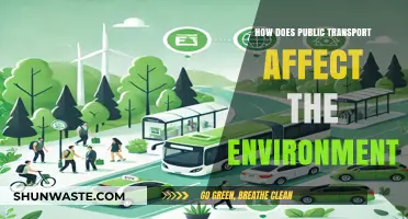 Public Transport's Environmental Impact: Greener Commutes for a Sustainable Future