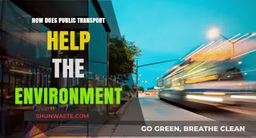 Sustainable Commuting: How Public Transport Benefits Our Environment