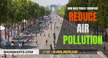 Public Transport: Reducing Air Pollution, Improving Our Health