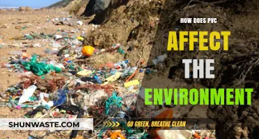 PVC's Environmental Impact: Pollution, Persistence, and Sustainable Alternatives