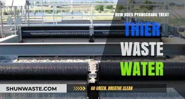 Pyongchang's Wastewater Management: Innovative Treatment and Environmental Impact