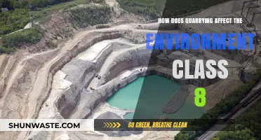 Quarrying's Environmental Impact: Understanding Effects on Nature for Class 8