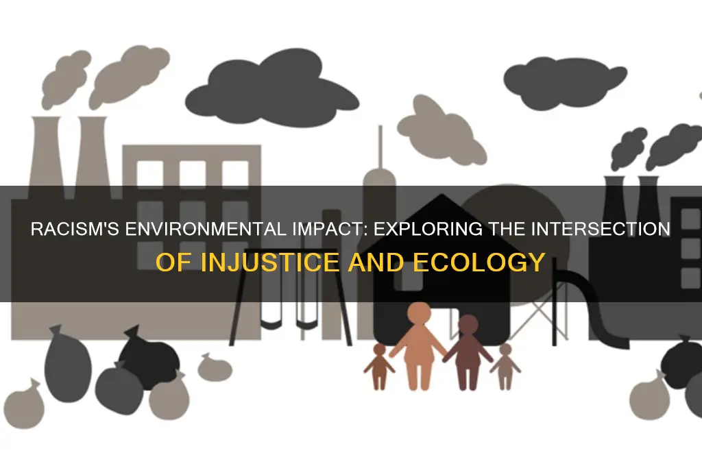 how does racism affect the environment