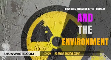 Radiation's Impact: Human Health and Environmental Consequences Explained