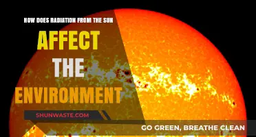 Sun's Radiation: Environmental Impacts and Ecosystem Changes Explained