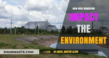 Radiation's Environmental Impact: Effects, Risks, and Ecosystem Disruption Explained