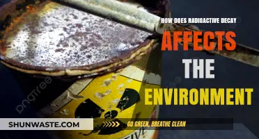 Radioactive Decay's Environmental Impact: Consequences and Ecological Concerns Explored