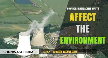 Radioactive Waste's Environmental Impact: Hazards, Risks, and Long-Term Consequences