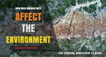 Radioactivity's Impact: Environmental Consequences and Long-Term Effects Explored