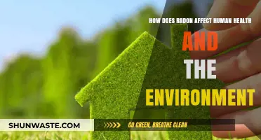 Radon's Impact: Health Risks and Environmental Consequences Explained