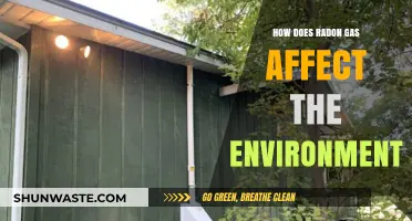Radon Gas: Environmental Impacts and Long-Term Ecological Consequences Explained