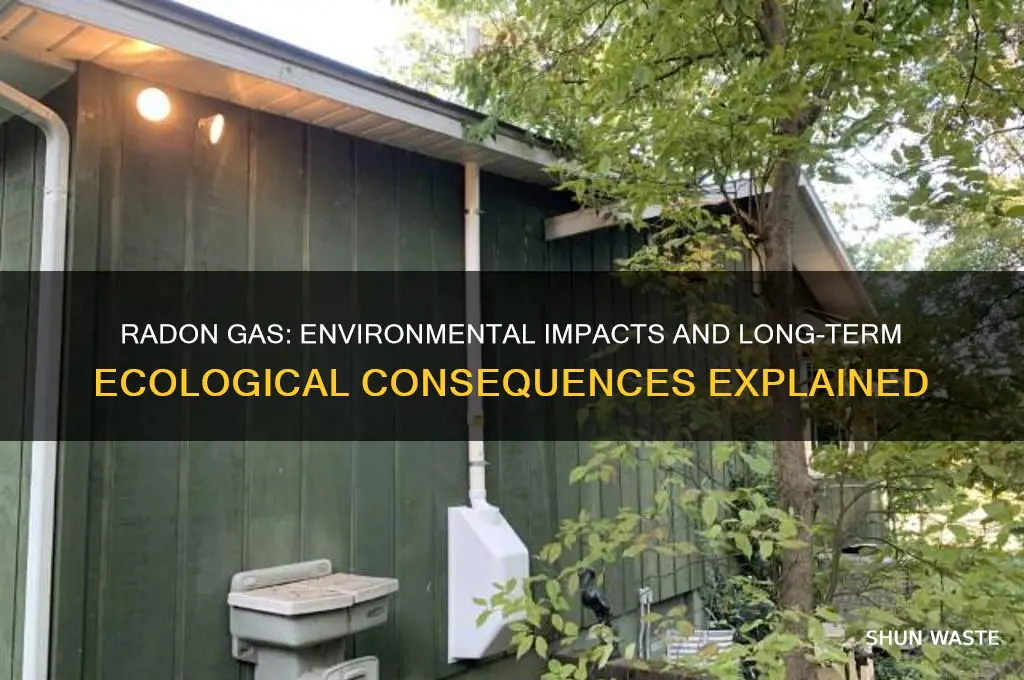 how does radon gas affect the environment