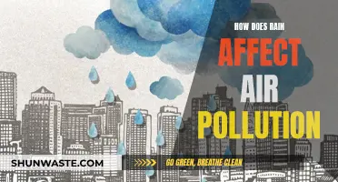 Rain's Impact: Cleaning the Air and Reducing Pollution