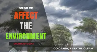 Rain's Ripple Effect: Environmental Impacts and Ecosystem Benefits Explained