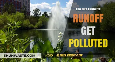 The Dark Side of Rainwater: Pollution from Runoff