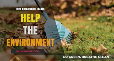 Raking Leaves: Simple Yard Work with Big Environmental Benefits