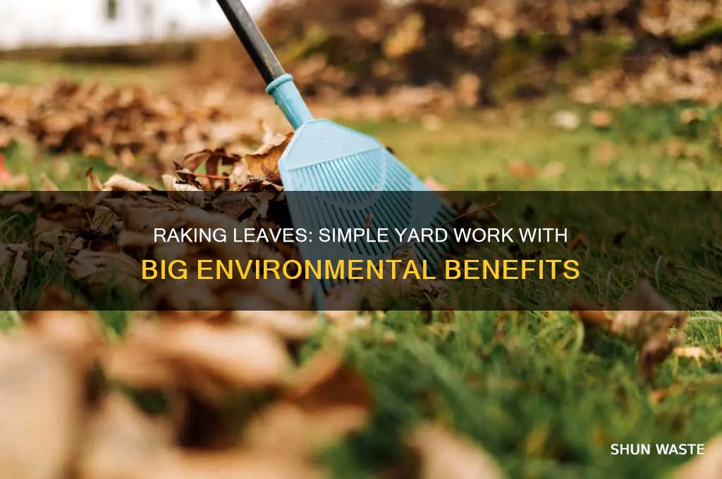 how does raking leaves help the environment