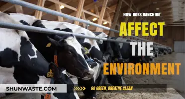 Ranching's Environmental Impact: Land, Water, and Climate Consequences Explained