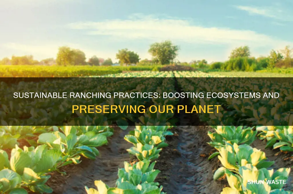how does ranching help the environment