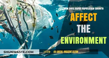 Rapid Population Growth: Environmental Impacts and Sustainable Solutions Explored