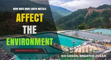 Rare Earth Metals' Environmental Impact: Extraction, Pollution, and Sustainability Challenges