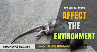 Rat Poison's Environmental Impact: Risks, Consequences, and Sustainable Alternatives