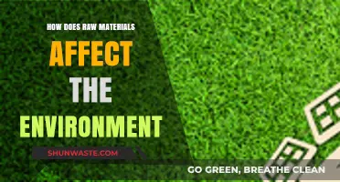 Raw Materials' Environmental Impact: Extraction, Pollution, and Sustainability Challenges