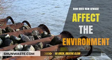 Raw Sewage's Devastating Impact on Ecosystems and Environmental Health