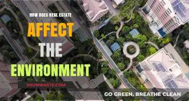 Real Estate's Environmental Impact: Sustainable Practices for a Greener Future