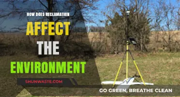 Reclamation's Environmental Impact: Balancing Land Restoration and Ecosystem Disruption
