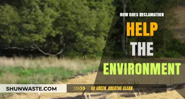 Reclamation's Role: Restoring Ecosystems and Revitalizing Our Environment