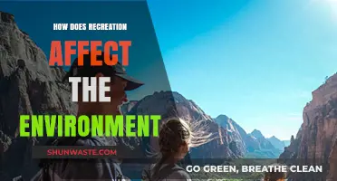 Recreation's Environmental Impact: Balancing Enjoyment with Ecosystem Preservation