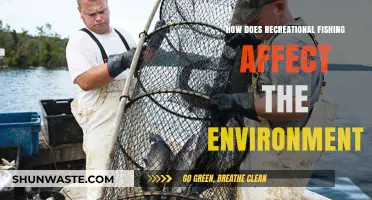 Recreational Fishing's Environmental Impact: Balancing Sport and Ecosystem Health
