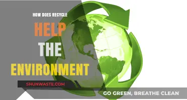 Recycling's Impact: How It Protects Our Planet and Preserves Resources