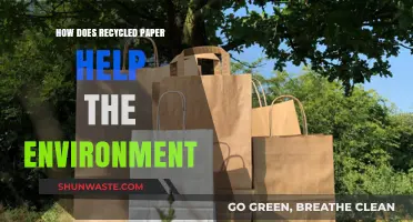 Recycled Paper: A Sustainable Choice for a Greener Environment