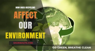 Recycling's Impact: How It Shapes and Protects Our Environment