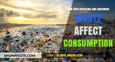 Recycling, Waste, and Consumption: Understanding Their Interconnected Impact