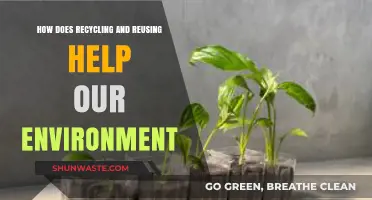 Recycling and Reusing: Sustainable Practices for a Healthier Planet