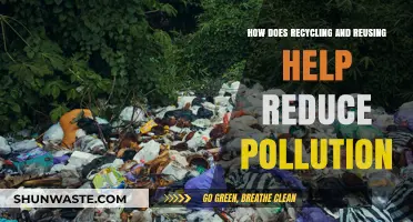 Recycling and Reusing: Pollution's Antidote